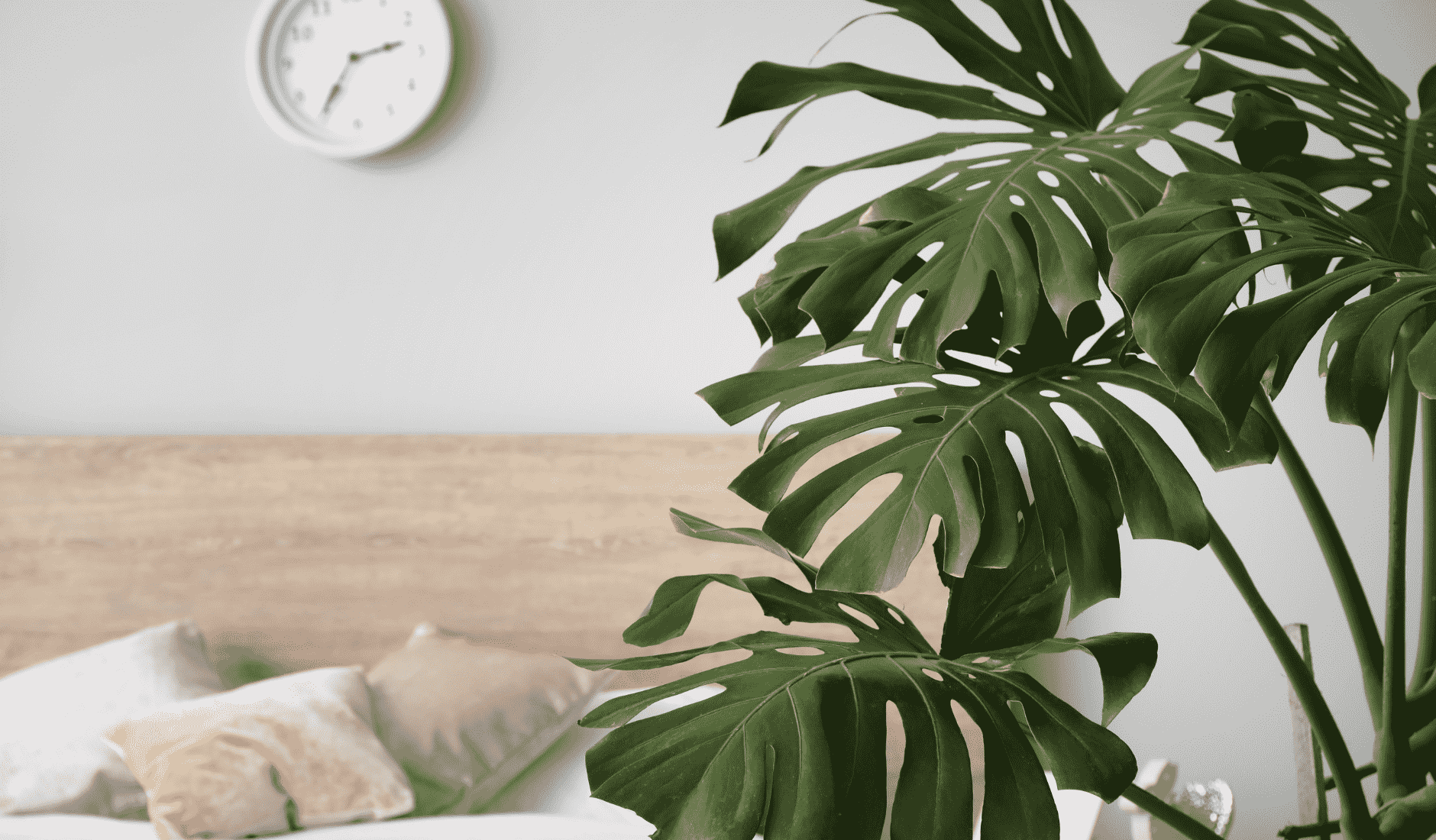 Schlafzimmer mit Doppelbett und Kommode mit Naturelementen.